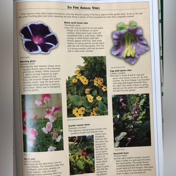 Gardening Essentials Hardcover Book - Picture 11 of 16